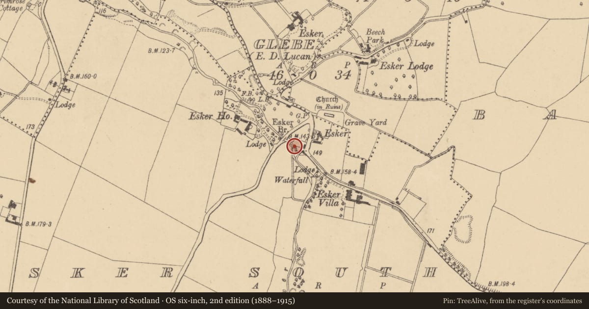 Ordnance Survey six-inch map, 2nd edition (1888–1915) covering the location of Bridge, Esker South, County Dublin, with a pin at the register's coordinates