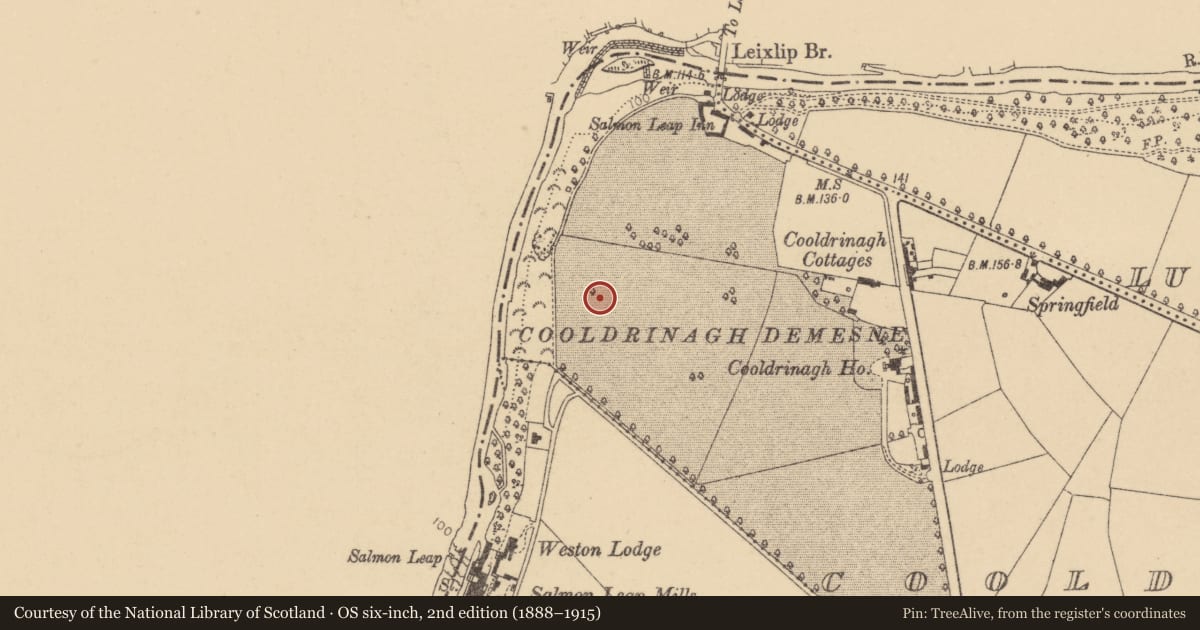 Ordnance Survey six-inch map, 2nd edition (1888–1915) covering the location of Prehistoric site - lithic scatter, Cooldrinagh, County Dublin, with a pin at the register's coordinates