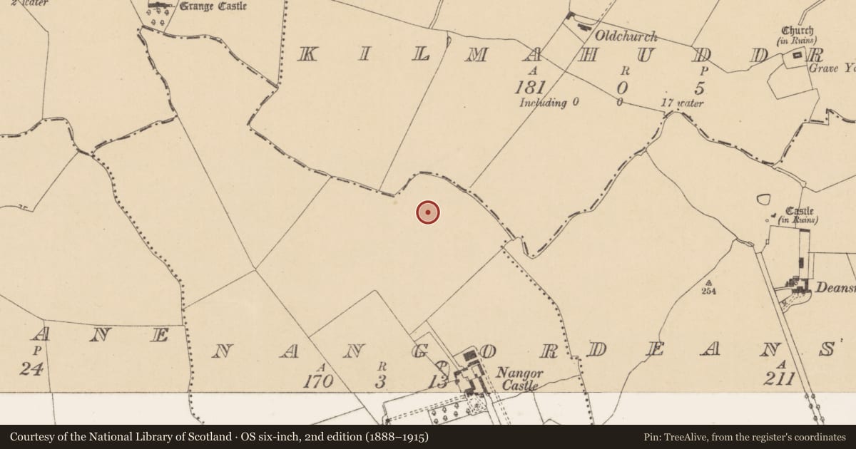 Ordnance Survey six-inch map, 2nd edition (1888–1915) covering the location of Fulacht fia, Nangor, County Dublin, with a pin at the register's coordinates