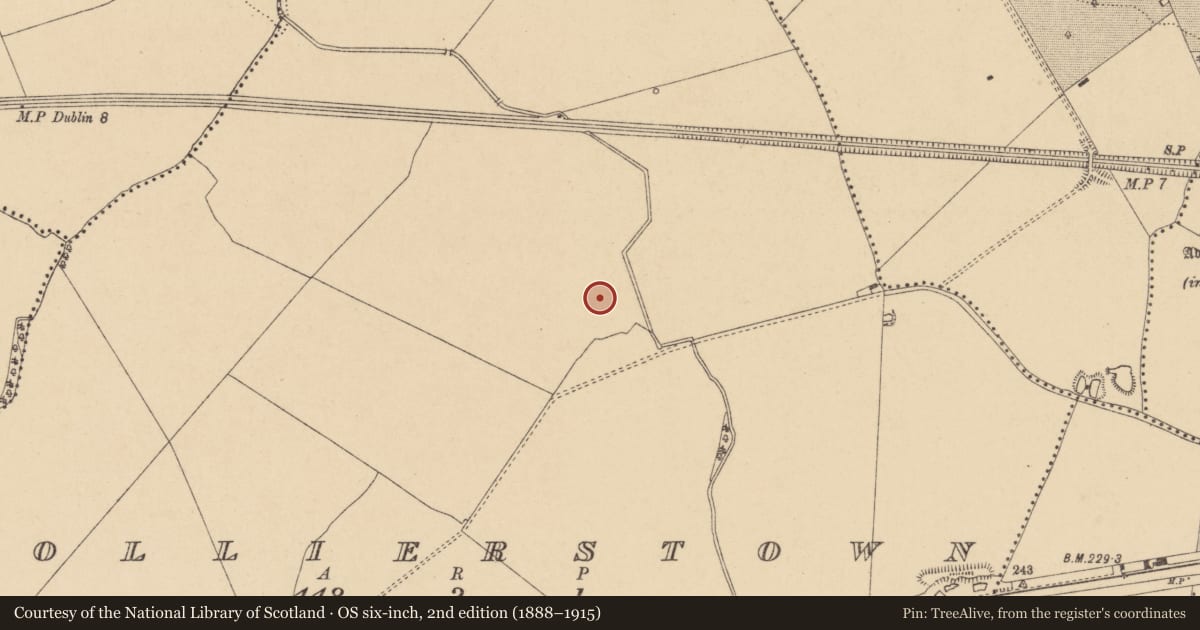 Ordnance Survey six-inch map, 2nd edition (1888–1915) covering the location of Enclosure, Gollierstown, County Dublin, with a pin at the register's coordinates