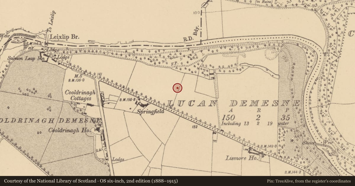 Ordnance Survey six-inch map, 2nd edition (1888–1915) covering the location of Ring-ditch, Lucan Demesne, County Dublin, with a pin at the register's coordinates