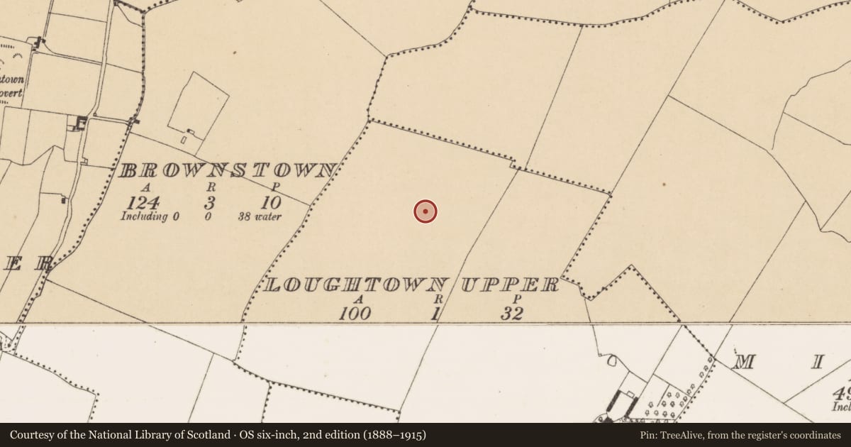Ordnance Survey six-inch map, 2nd edition (1888–1915) covering the location of Enclosure, Loughtown Upper, County Dublin, with a pin at the register's coordinates