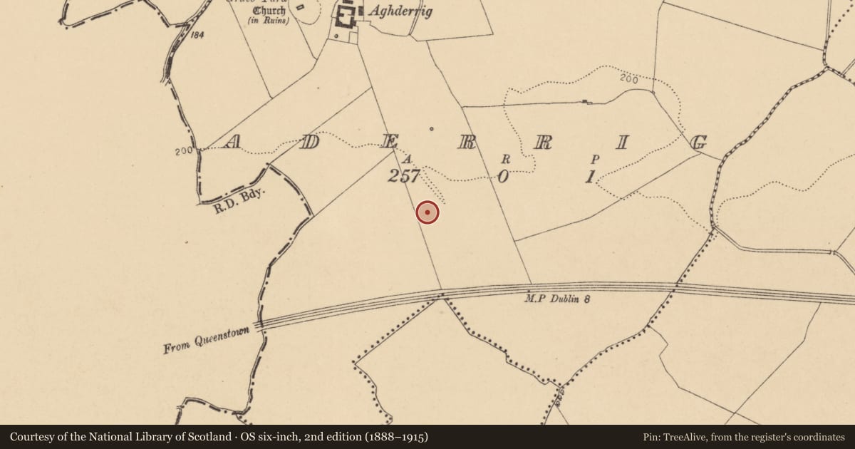 Ordnance Survey six-inch map, 2nd edition (1888–1915) covering the location of Earthwork, Aderrig, County Dublin, with a pin at the register's coordinates