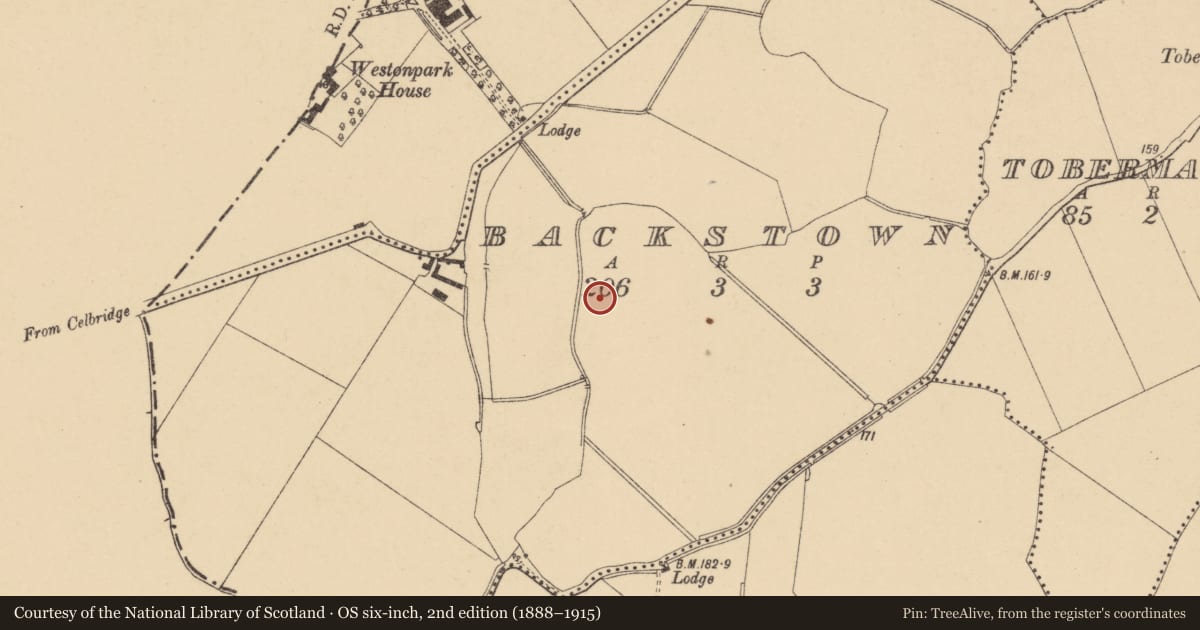 Ordnance Survey six-inch map, 2nd edition (1888–1915) covering the location of Earthwork, Backstown, County Dublin, with a pin at the register's coordinates