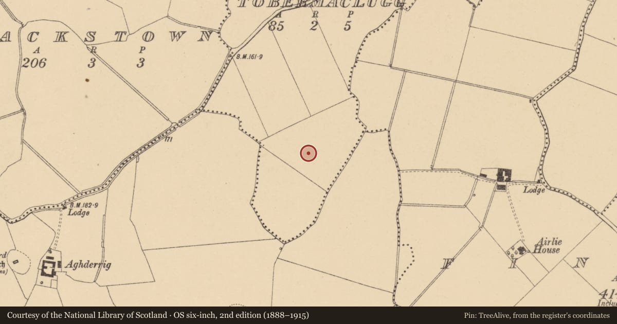 Ordnance Survey six-inch map, 2nd edition (1888–1915) covering the location of Ringfort - rath, Tobermaclugg, County Dublin, with a pin at the register's coordinates