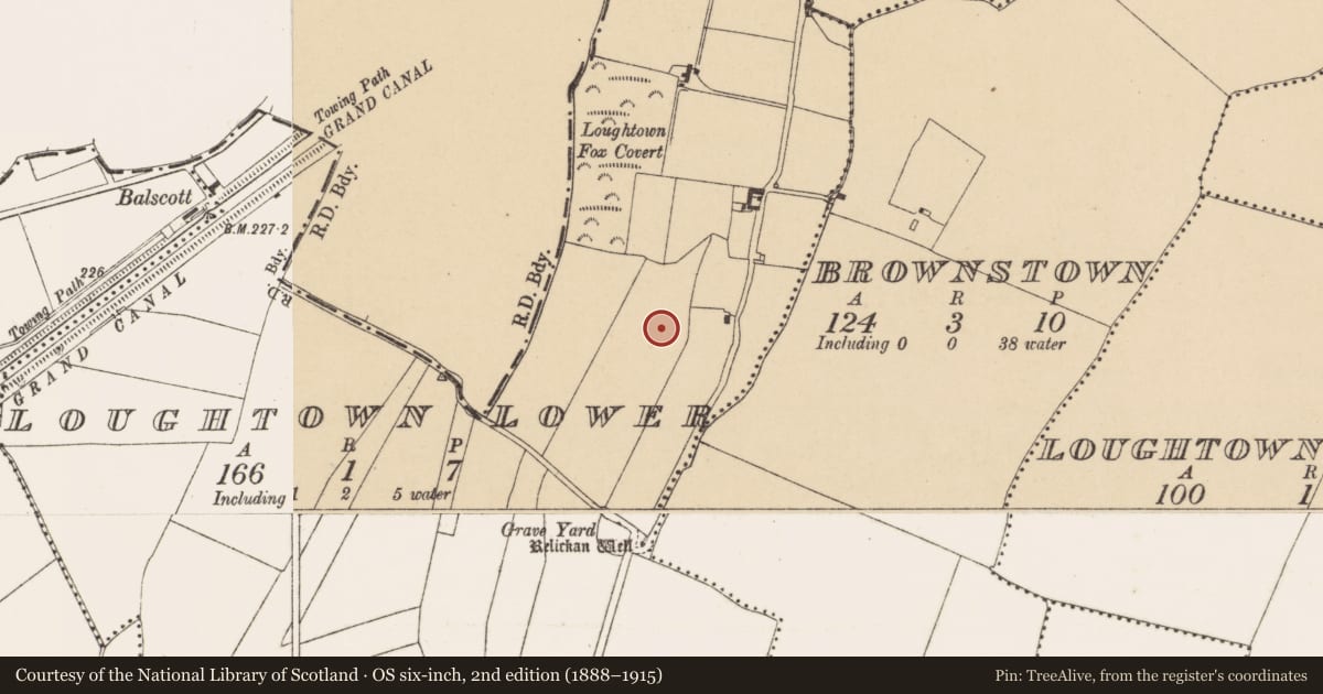 Ordnance Survey six-inch map, 2nd edition (1888–1915) covering the location of Earthwork, Loughtown Lower, County Dublin, with a pin at the register's coordinates