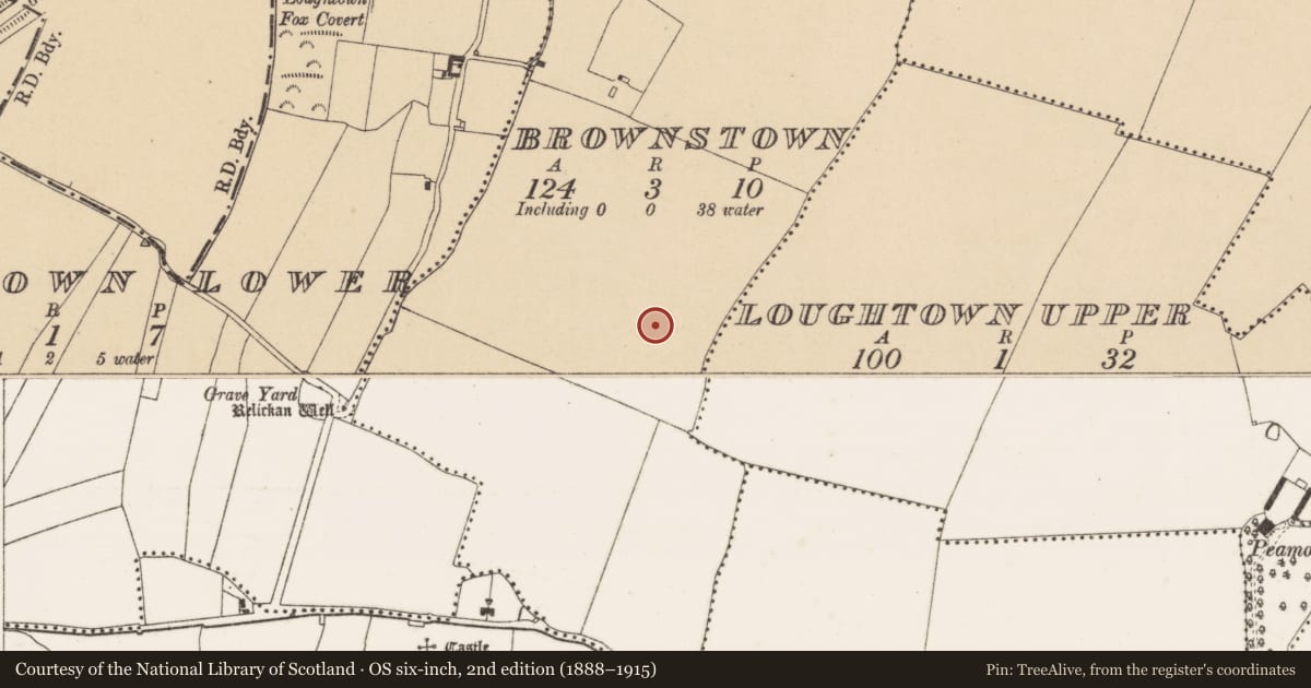 Ordnance Survey six-inch map, 2nd edition (1888–1915) covering the location of Earthwork, Brownstown, County Dublin, with a pin at the register's coordinates