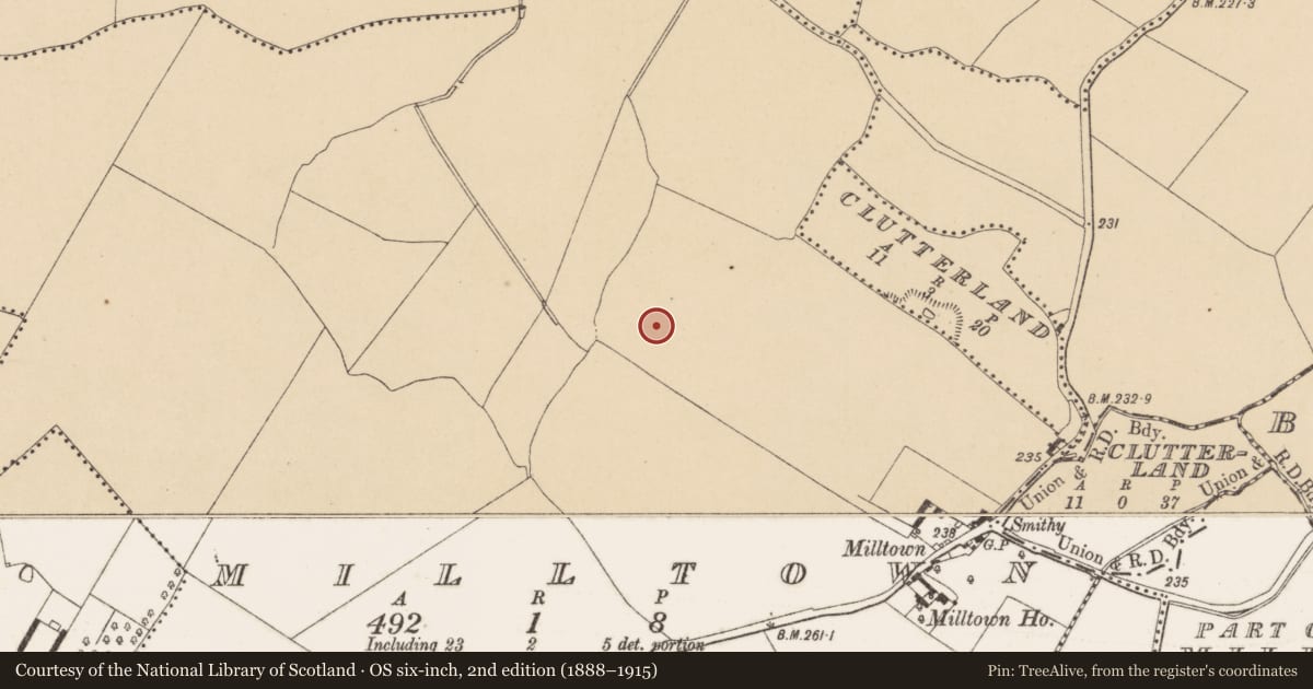 Ordnance Survey six-inch map, 2nd edition (1888–1915) covering the location of Ring-ditch, Milltown, County Dublin, with a pin at the register's coordinates