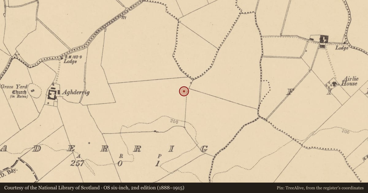 Ordnance Survey six-inch map, 2nd edition (1888–1915) covering the location of Castle - unclassified, Aderrig, County Dublin, with a pin at the register's coordinates