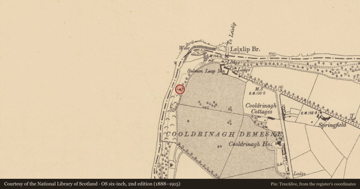 Ordnance Survey six-inch map, 2nd edition (1888–1915) covering the location of Kiln - lime, Cooldrinagh, County Dublin, with a pin at the register's coordinates