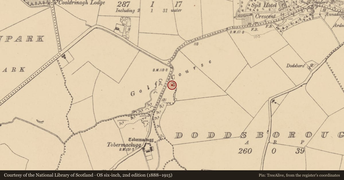 Ordnance Survey six-inch map, 2nd edition (1888–1915) covering the location of Kiln - lime, Doddsborough, County Dublin, with a pin at the register's coordinates