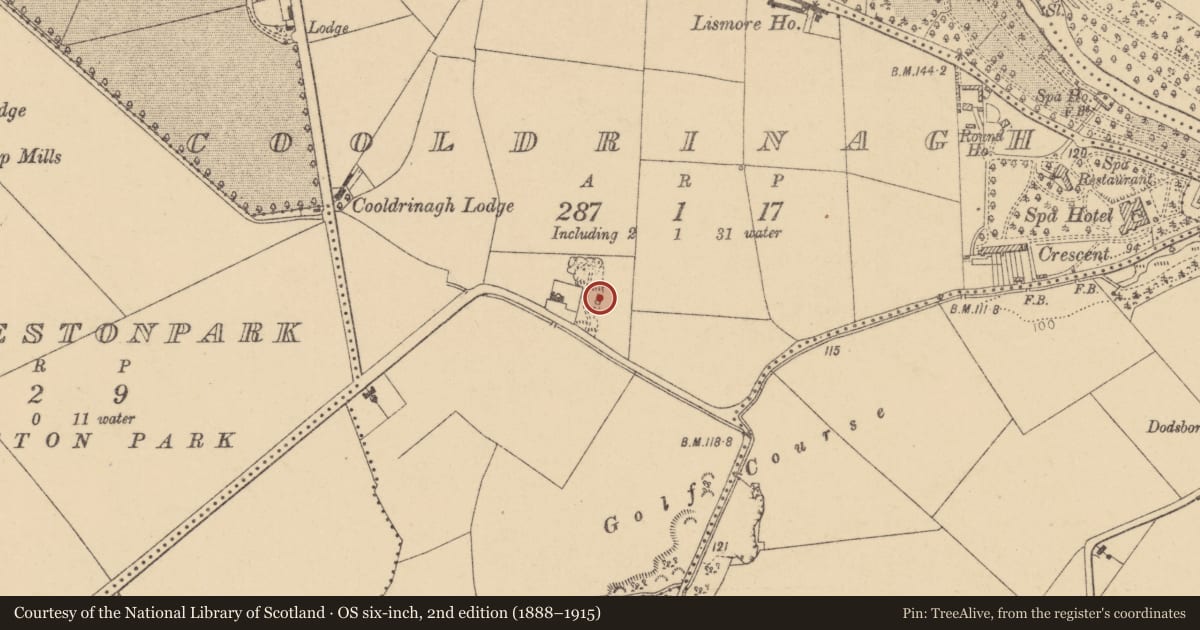Ordnance Survey six-inch map, 2nd edition (1888–1915) covering the location of Kiln - lime, Cooldrinagh, County Dublin, with a pin at the register's coordinates
