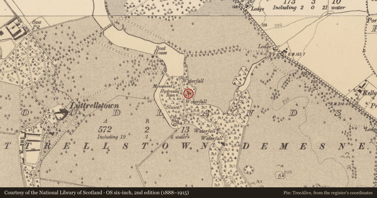 Ordnance Survey six-inch map, 2nd edition (1888–1915) covering the location of Icehouse, Woodlands, County Dublin, with a pin at the register's coordinates