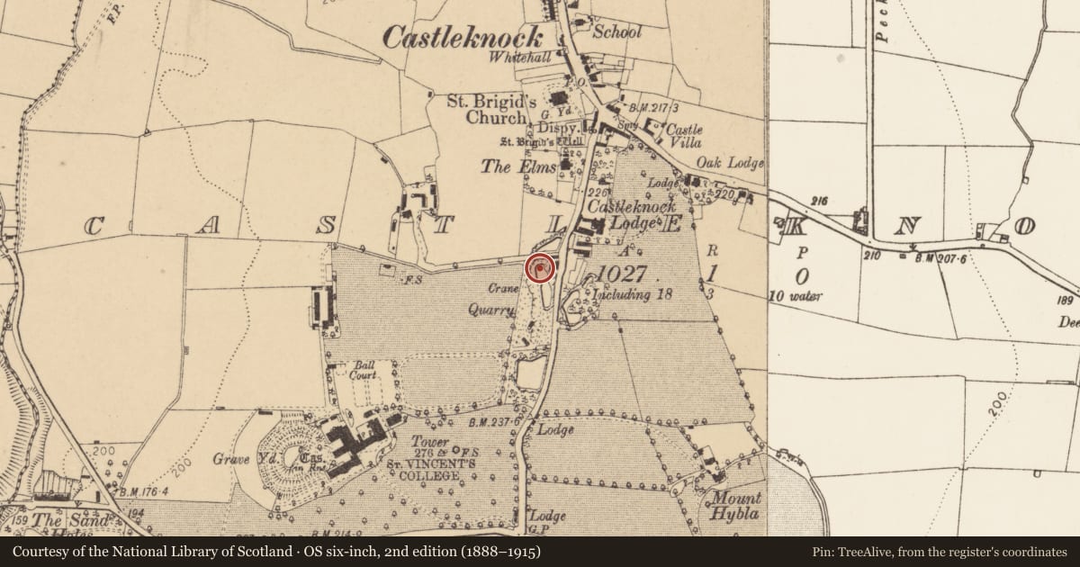 Ordnance Survey six-inch map, 2nd edition (1888–1915) covering the location of Kiln - lime, Castleknock (Without Phoenix Park), County Dublin, with a pin at the register's coordinates