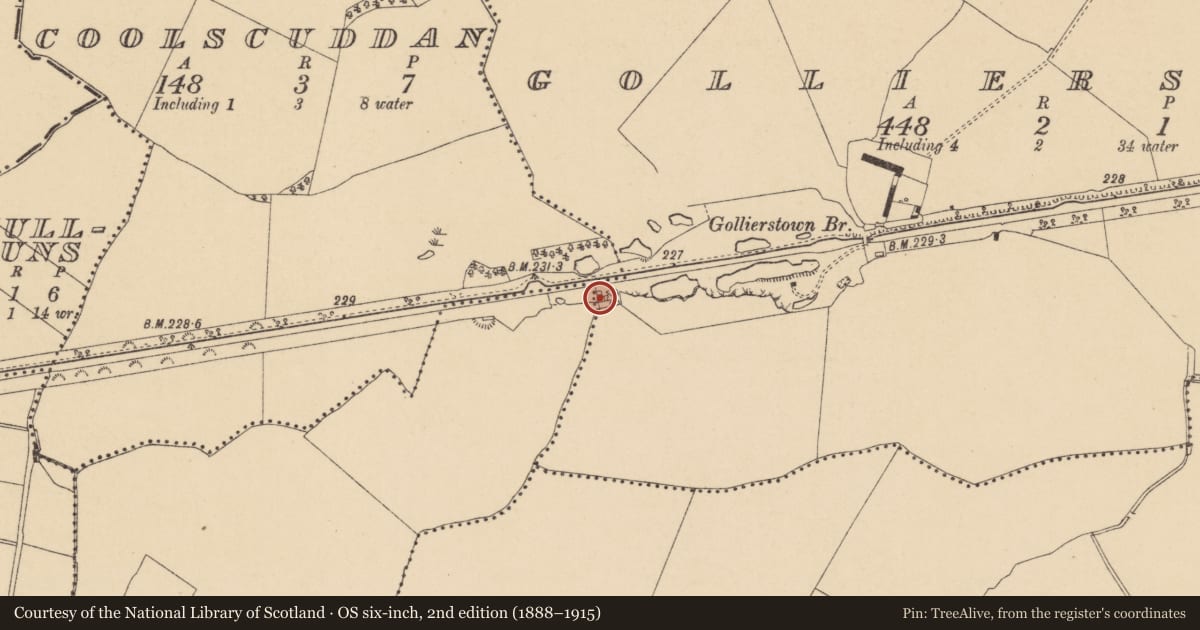 Ordnance Survey six-inch map, 2nd edition (1888–1915) covering the location of Kiln - lime, Gollierstown, County Dublin, with a pin at the register's coordinates