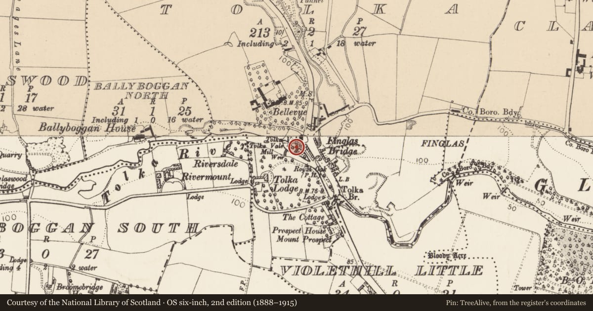 Ordnance Survey six-inch map, 2nd edition (1888–1915) covering the location of Mill - unclassified, County Dublin, with a pin at the register's coordinates