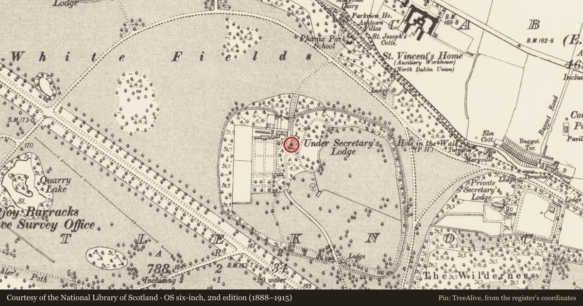 Ordnance Survey six-inch map, 2nd edition (1888–1915) covering the location of Castle - tower house, County Dublin, with a pin at the register's coordinates