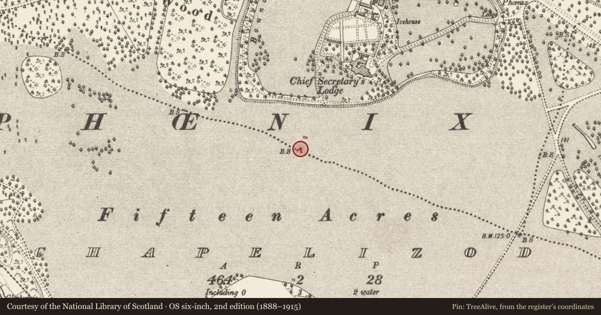 Ordnance Survey six-inch map, 2nd edition (1888–1915) covering the location of Designed landscape feature, County Dublin, with a pin at the register's coordinates