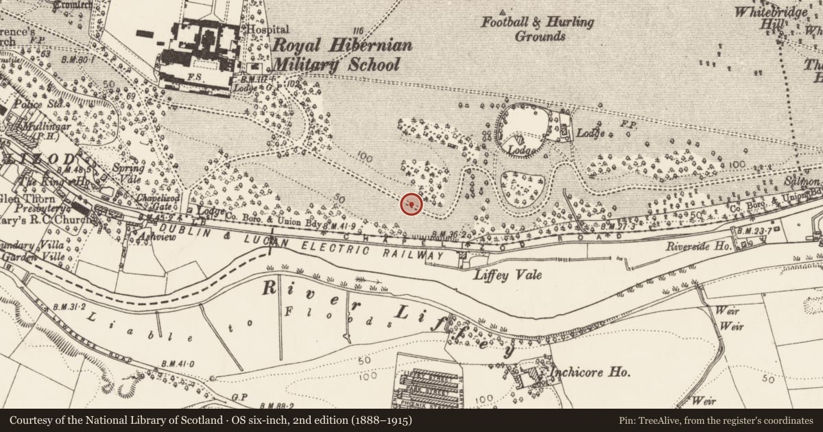 Ordnance Survey six-inch map, 2nd edition (1888–1915) covering the location of Road - road/trackway, County Dublin, with a pin at the register's coordinates