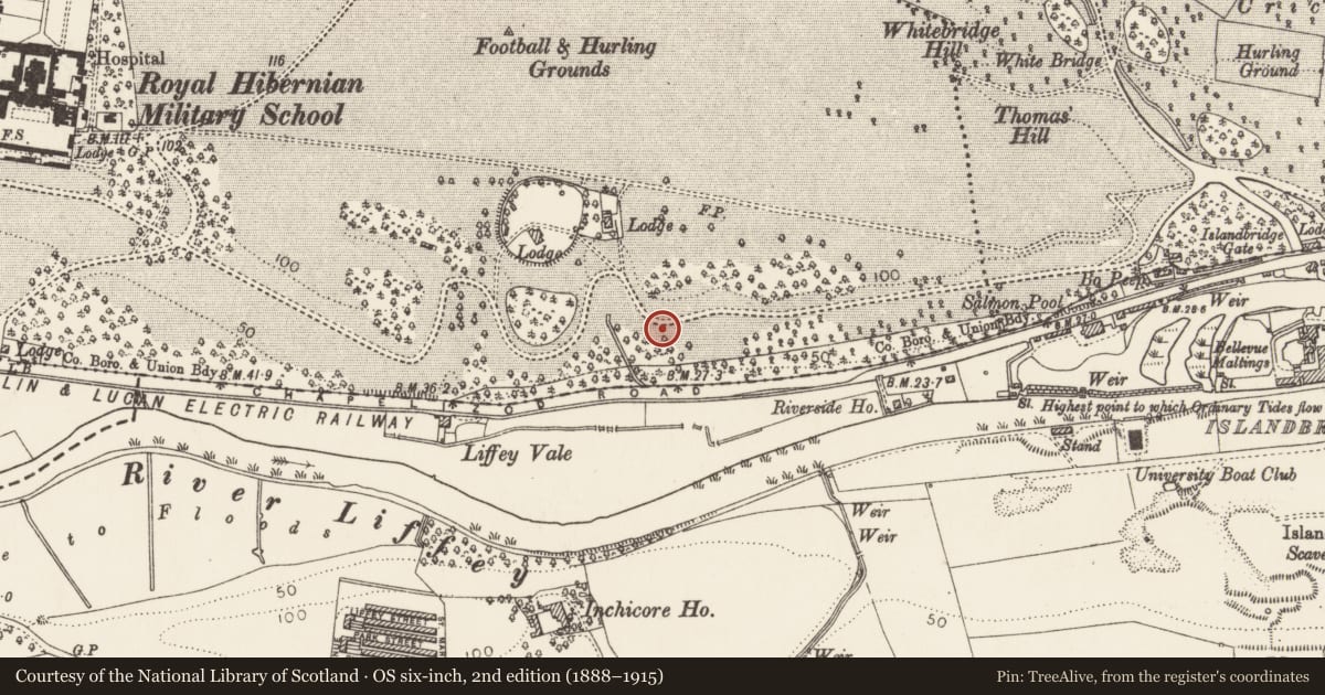 Ordnance Survey six-inch map, 2nd edition (1888–1915) covering the location of Enclosure, County Dublin, with a pin at the register's coordinates