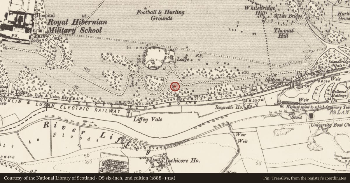 Ordnance Survey six-inch map, 2nd edition (1888–1915) covering the location of Enclosure, County Dublin, with a pin at the register's coordinates