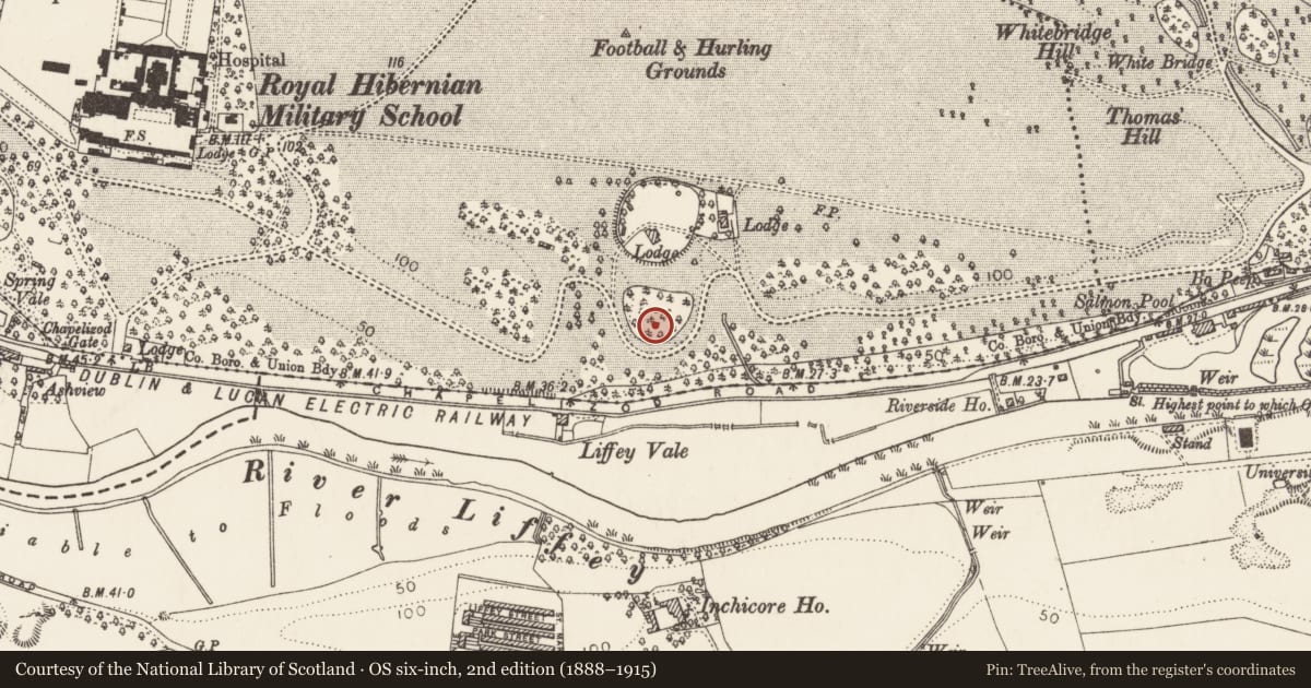 Ordnance Survey six-inch map, 2nd edition (1888–1915) covering the location of Enclosure, County Dublin, with a pin at the register's coordinates