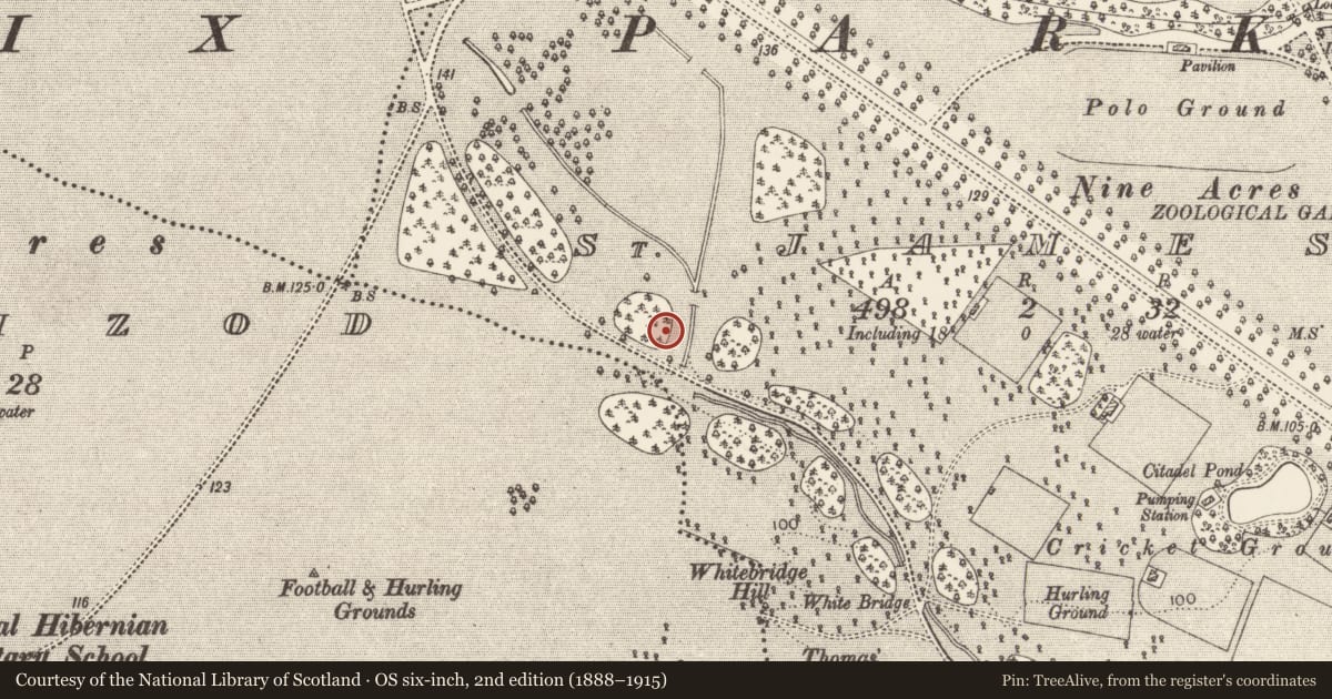 Ordnance Survey six-inch map, 2nd edition (1888–1915) covering the location of Burial, County Dublin, with a pin at the register's coordinates