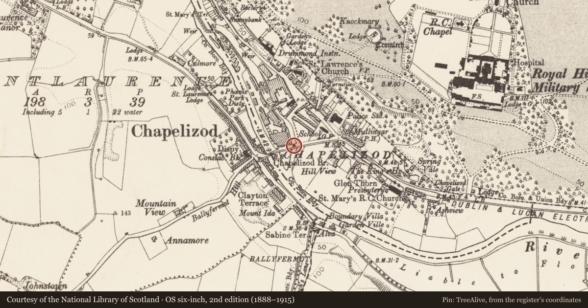 Ordnance Survey six-inch map, 2nd edition (1888–1915) covering the location of Bridge, County Dublin, with a pin at the register's coordinates
