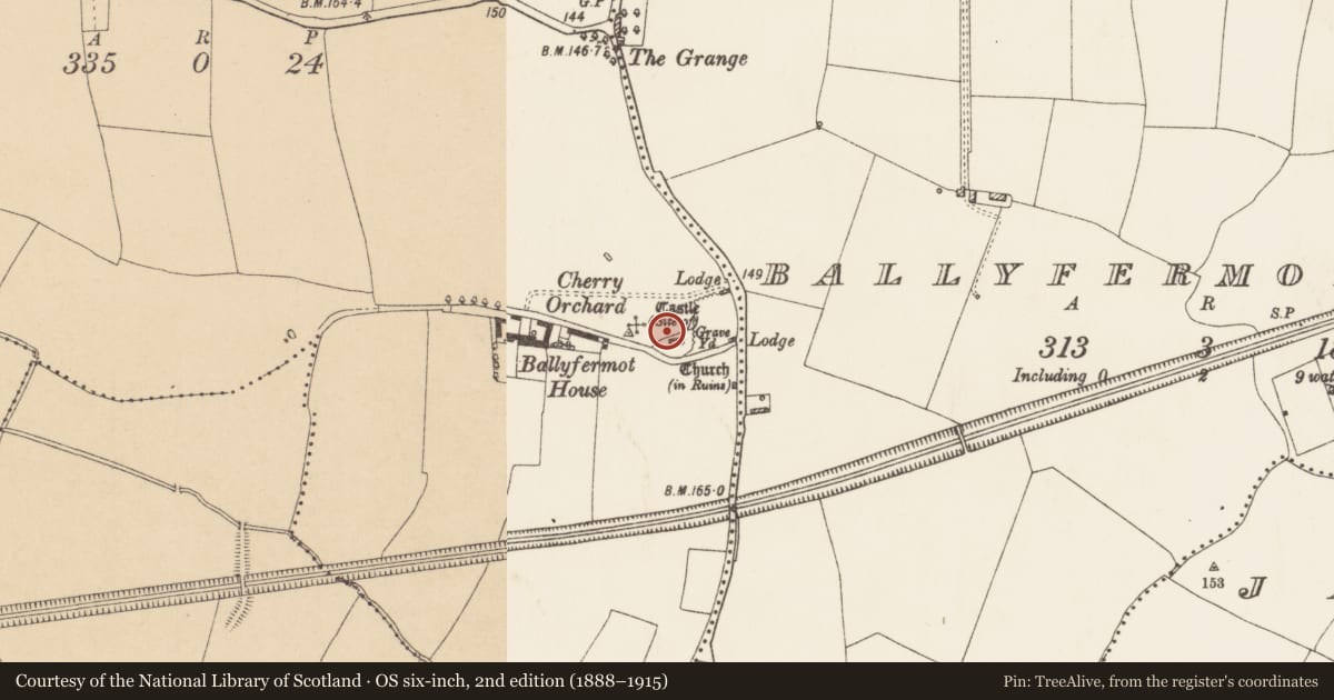 Ordnance Survey six-inch map, 2nd edition (1888–1915) covering the location of Castle - tower house, County Dublin, with a pin at the register's coordinates