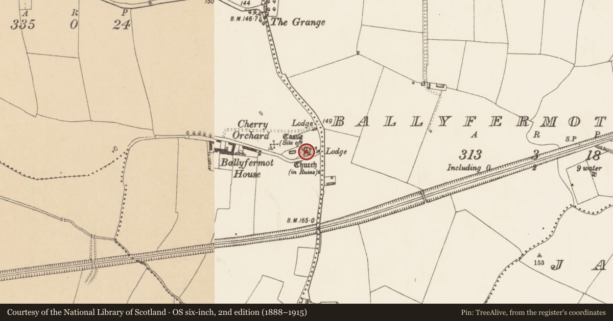 Ordnance Survey six-inch map, 2nd edition (1888–1915) covering the location of Graveyard, County Dublin, with a pin at the register's coordinates