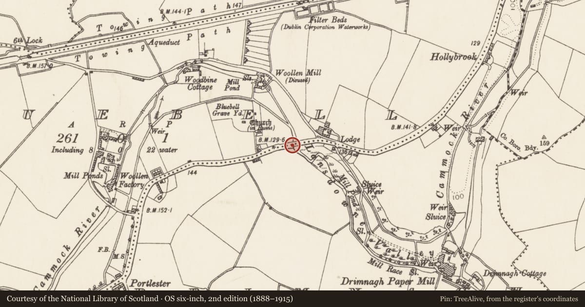 Ordnance Survey six-inch map, 2nd edition (1888–1915) covering the location of Bridge, County Dublin, with a pin at the register's coordinates