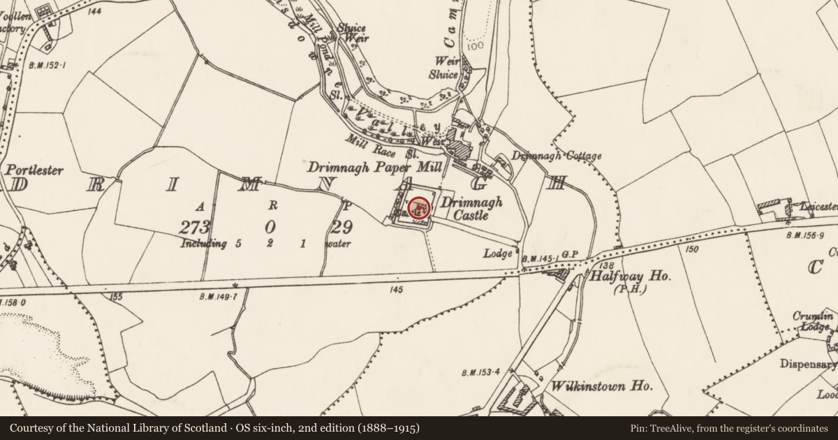 Ordnance Survey six-inch map, 2nd edition (1888–1915) covering the location of Castle - Anglo-Norman masonry castle, County Dublin, with a pin at the register's coordinates