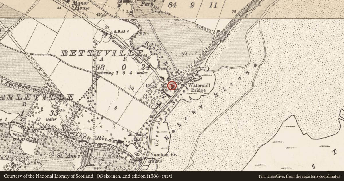 Ordnance Survey six-inch map, 2nd edition (1888–1915) covering the location of Armorial plaque, County Dublin, with a pin at the register's coordinates