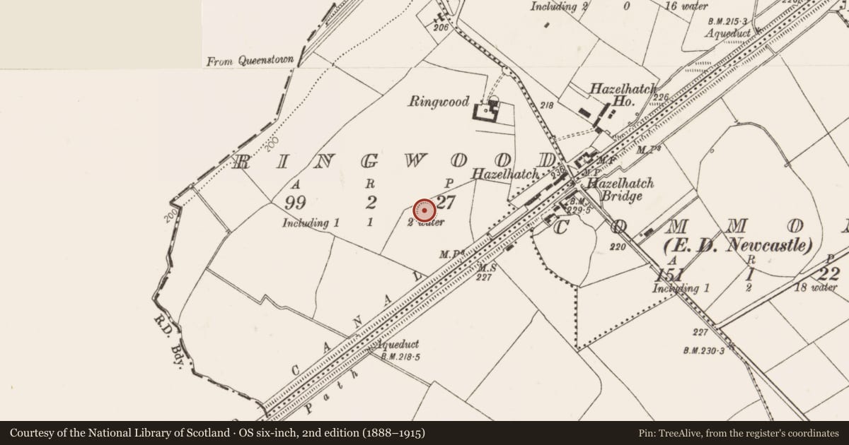Ordnance Survey six-inch map, 2nd edition (1888–1915) covering the location of Ringfort - unclassified, Ringwood, County Dublin, with a pin at the register's coordinates