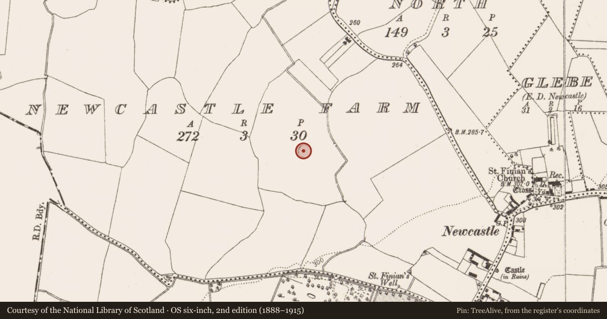 Ordnance Survey six-inch map, 2nd edition (1888–1915) covering the location of Ringfort - unclassified, Newcastle Farm, County Dublin, with a pin at the register's coordinates