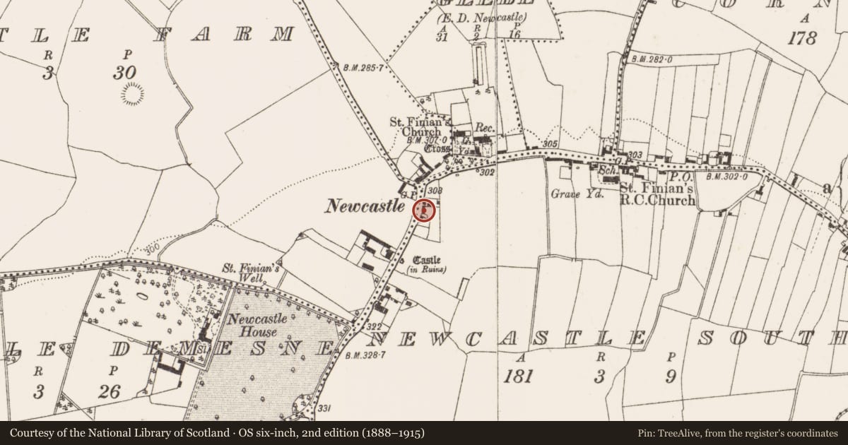 Ordnance Survey six-inch map, 2nd edition (1888–1915) covering the location of Castle - tower house, Newcastle South, County Dublin, with a pin at the register's coordinates