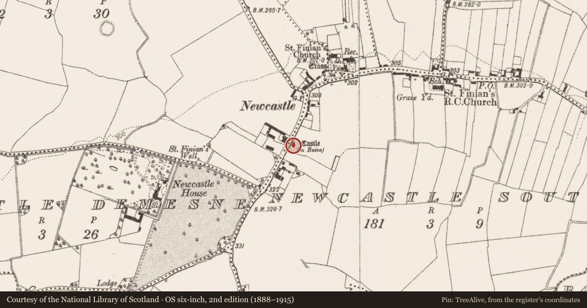 Ordnance Survey six-inch map, 2nd edition (1888–1915) covering the location of Castle - tower house, Newcastle South, County Dublin, with a pin at the register's coordinates