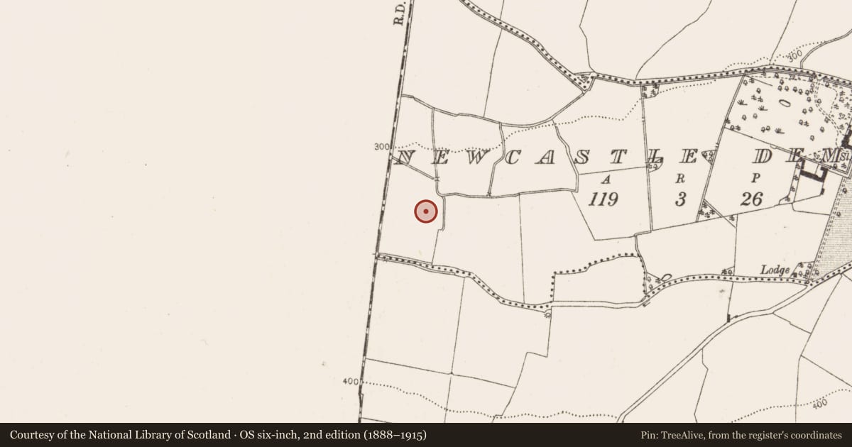 Ordnance Survey six-inch map, 2nd edition (1888–1915) covering the location of Enclosure, Newcastle Demesne, County Dublin, with a pin at the register's coordinates