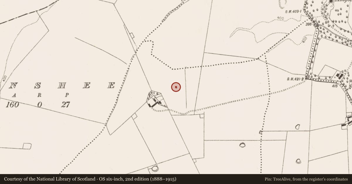 Ordnance Survey six-inch map, 2nd edition (1888–1915) covering the location of Ritual site - holy well, Castlewarden, County Dublin, with a pin at the register's coordinates