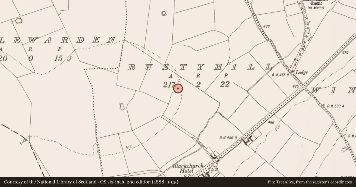 Ordnance Survey six-inch map, 2nd edition (1888–1915) covering the location of Souterrain, Bustyhill, County Dublin, with a pin at the register's coordinates