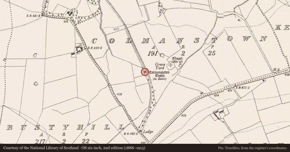 Ordnance Survey six-inch map, 2nd edition (1888–1915) covering the location of Castle - tower house, Colmanstown, County Dublin, with a pin at the register's coordinates