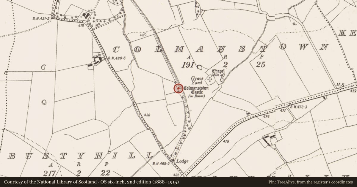 Ordnance Survey six-inch map, 2nd edition (1888–1915) covering the location of Field system, Colmanstown, County Dublin, with a pin at the register's coordinates