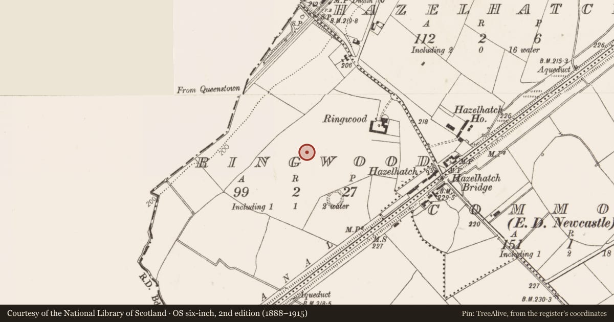 Ordnance Survey six-inch map, 2nd edition (1888–1915) covering the location of Enclosure, Ringwood, County Dublin, with a pin at the register's coordinates