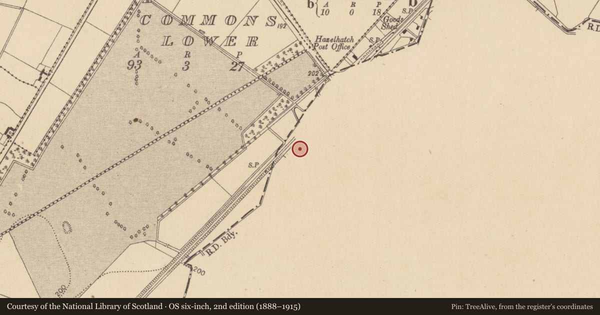 Ordnance Survey six-inch map, 2nd edition (1888–1915) covering the location of Earthwork, Ringwood, County Dublin, with a pin at the register's coordinates