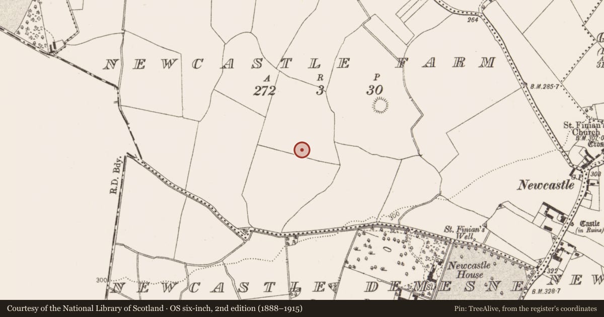 Ordnance Survey six-inch map, 2nd edition (1888–1915) covering the location of Earthwork, Newcastle Farm, County Dublin, with a pin at the register's coordinates