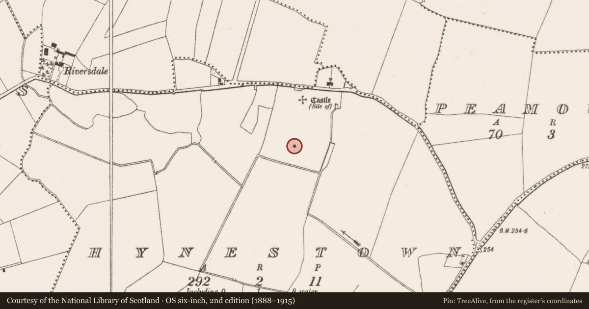 Ordnance Survey six-inch map, 2nd edition (1888–1915) covering the location of Field system, Hynestown, County Dublin, with a pin at the register's coordinates