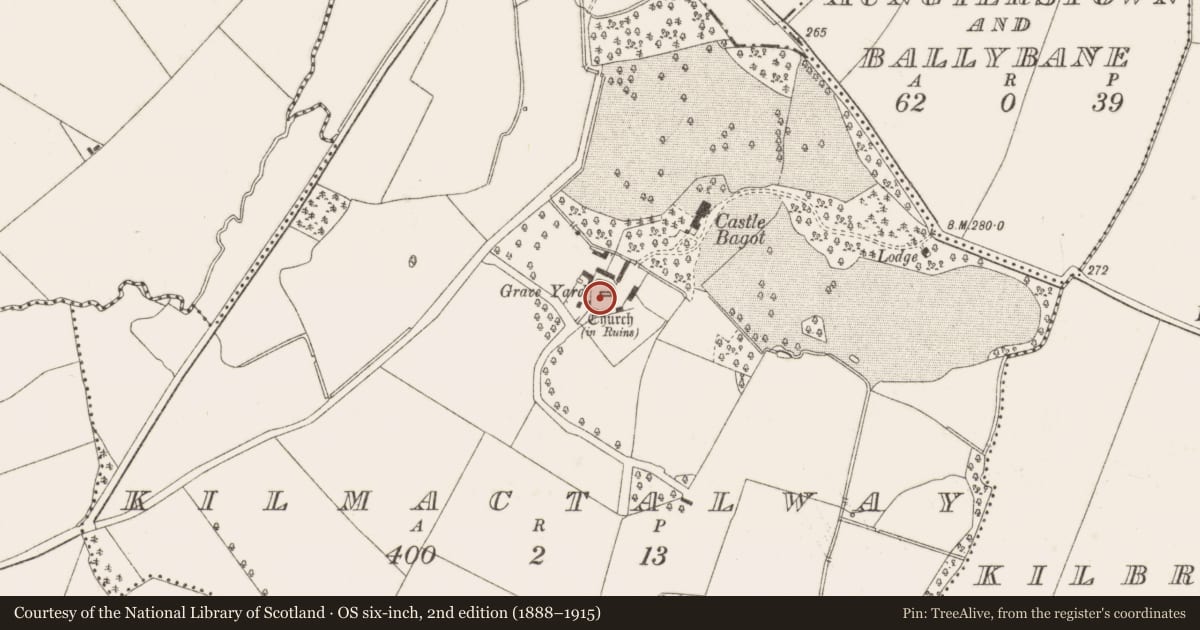 Ordnance Survey six-inch map, 2nd edition (1888–1915) covering the location of Graveyard, Kilmactalway, County Dublin, with a pin at the register's coordinates