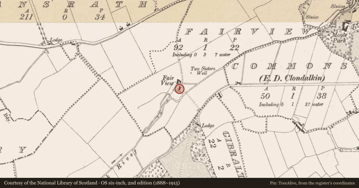 Ordnance Survey six-inch map, 2nd edition (1888–1915) covering the location of Mill - unclassified, Fairview, County Dublin, with a pin at the register's coordinates