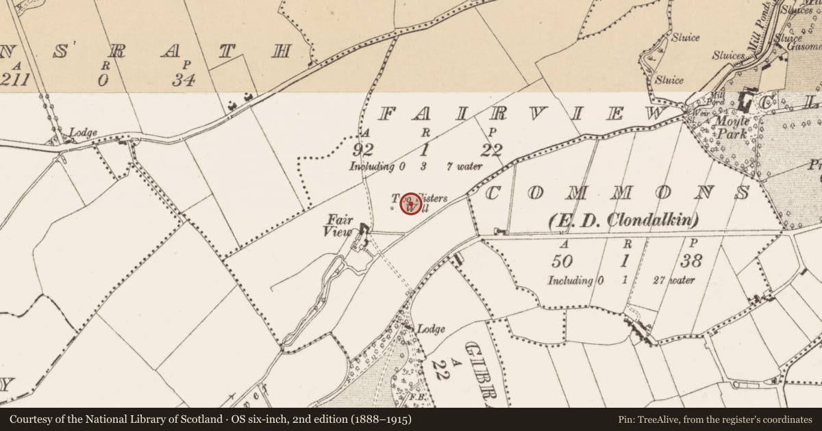 Ordnance Survey six-inch map, 2nd edition (1888–1915) covering the location of Well, Fairview, County Dublin, with a pin at the register's coordinates