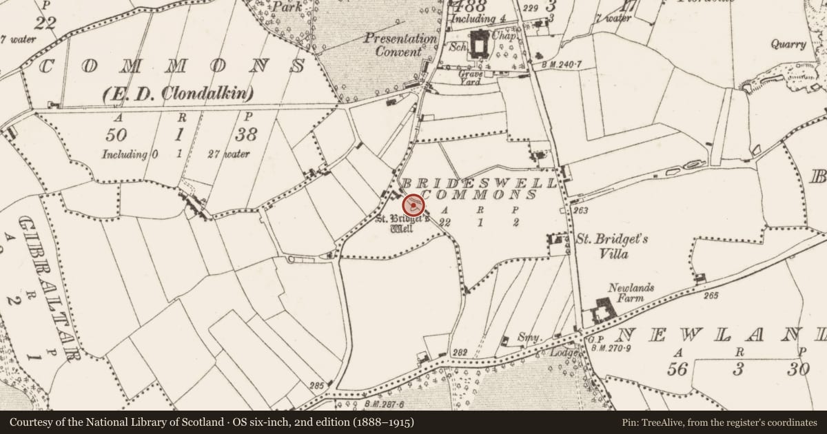 Ordnance Survey six-inch map, 2nd edition (1888–1915) covering the location of Ritual site - holy well, Brideswell Commons, County Dublin, with a pin at the register's coordinates